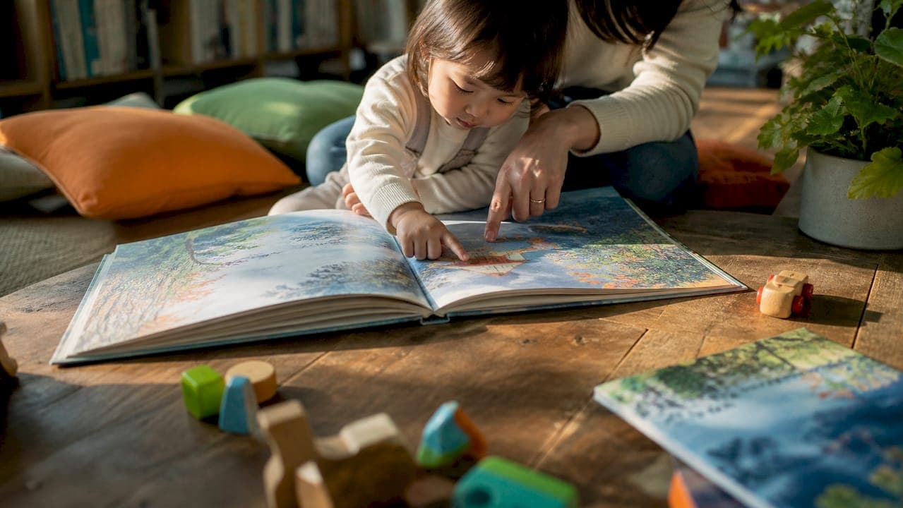 Session Plans for Wordless Picture Books: Teachers & Therapists